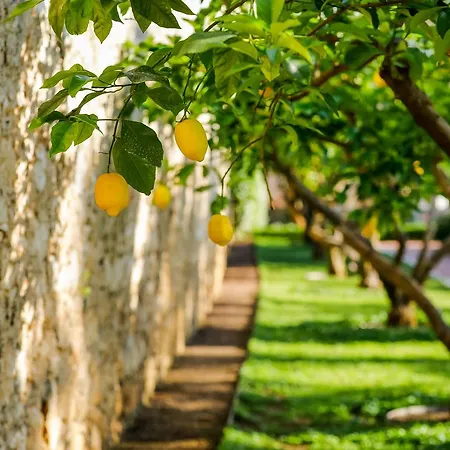 Lemongarden - Adults Only فندق سوتيفان