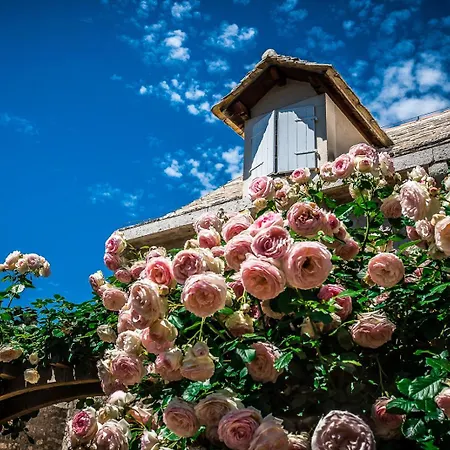 Hotel Lemongarden - Adults Only 5*