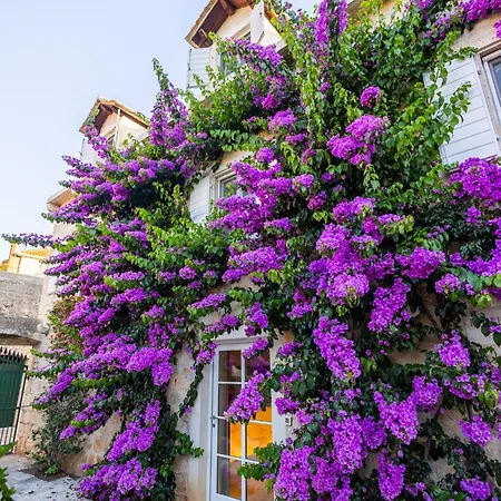 Lemongarden - Adults Only Hotel 5*