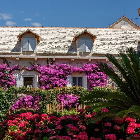 Lemongarden - Adults Only 5* Sutivan