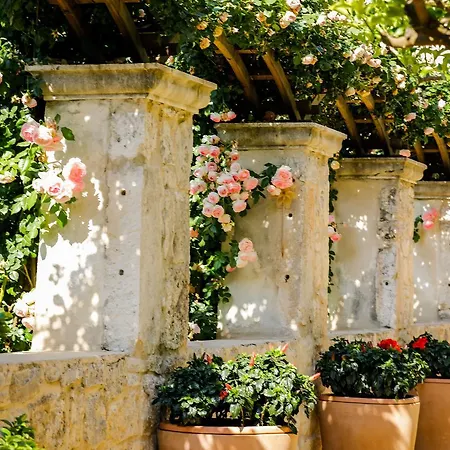 Готель Lemongarden - Adults Only 5*