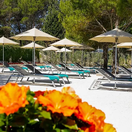 Hotell Lemongarden - Adults Only