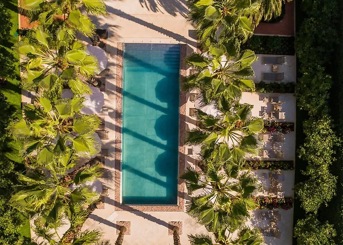 Lemongarden - Adults Only