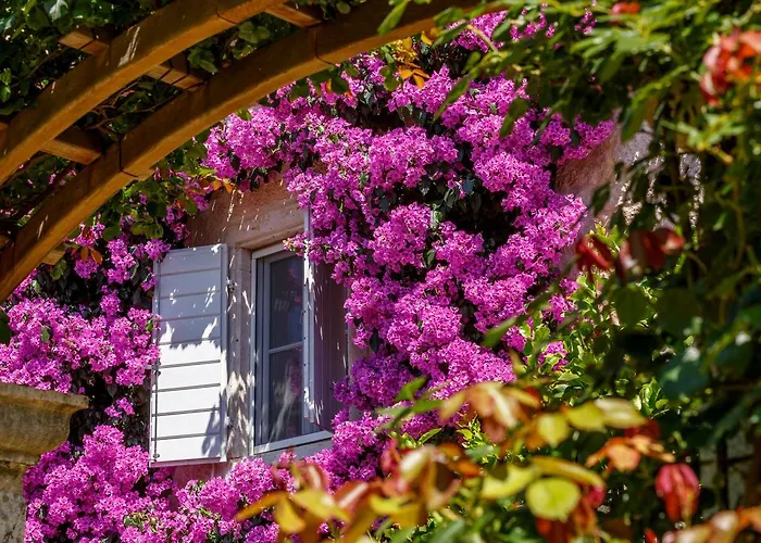 Lemongarden - Adults Only 5*