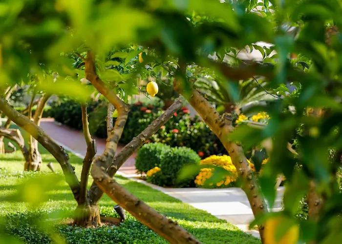 Hotel Lemongarden - Adults Only