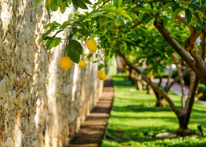Lemongarden - Adults Only ホテル スティヴァン
