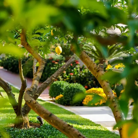 Hotel Lemongarden - Adults Only