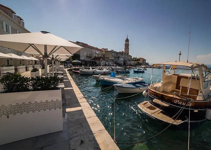 Lemongarden - Adults Only Sutivan